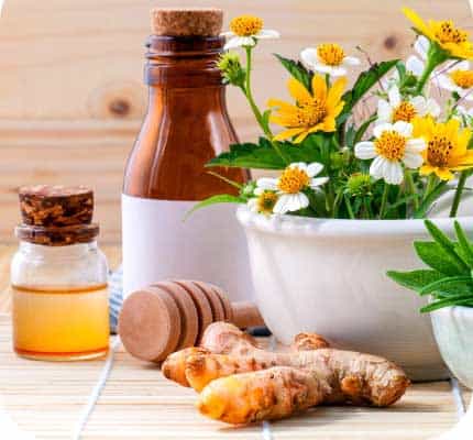 Fleurs - Damien Chevrier, naturopathe, naturopathie, biorésonance, kinésiologie, traitement des allergies, intolerances, intolerances alimentaires, massages, sympathicotherapie, aromatherapie, phytotherapie, homeopathie, fleurs de bach, gemmotherapie, spagyrie, bioresonance, sion, valais